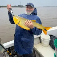 Golden Dorado Fishing