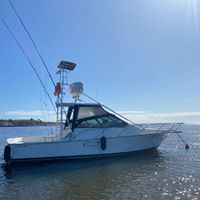 Nervous Marlin Fishing Lodge
