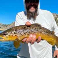 Yellowstone River Guided Fly Fishing