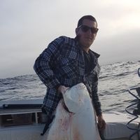 Salmon Fishing and Halibut Fishing Trip