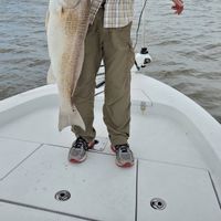 South Louisiana Redfish Fishing Charters