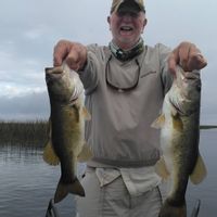 Bass Fishing Charters with Capt George Mro