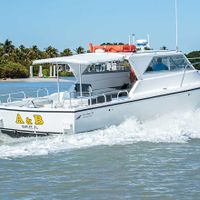 A&B Deep Sea Fishing Charters