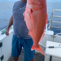 Golden Point Fishing Charters