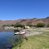 Orange River Yellowfish Safari