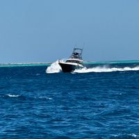 Triple Tail Sportfishing Charters