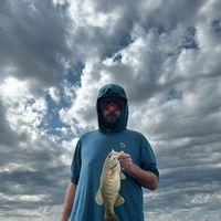 Canyon Lake Bass Fishing Guide