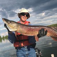 Forrest Lake Outfitters