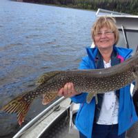 Winnipeg River Fishing Adventures