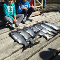 Professionally Guided Fishing Charters