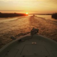 Salty Marsh Charters