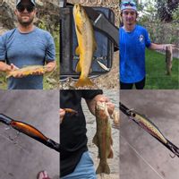 Guided River Fishing Trip