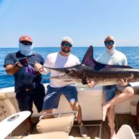 Cabo San Lucas Sportfishing