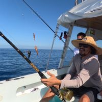 Galapagos Marlin Fishing Charter