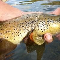 Fly fishing and accommodation in relay and castle