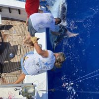 Boca Raton Madeira Fishing Charters