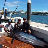 Ross Charters Sport Fishing Loreto BCS