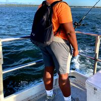 Fishing and Scenic Coastal Charters