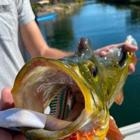 Urban Legends Fishing Charters