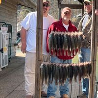 Lake Greeson Guide – Crappie