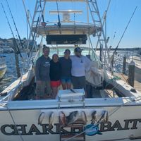 Bendin Rods Fishing Charters