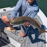 Aquatic Escapes Charters - Tampa Bay