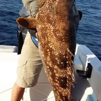Deep Sea Fishing, KwaZulu Natal