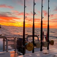 Ocean Life Fishing Charters