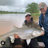 Striped bass fishing