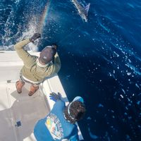 Picudo Sportfishing