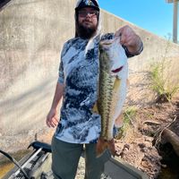 Lake Austin Bass Fishing