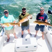 Double Ace Charters