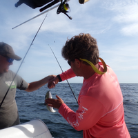 Fishing and Scenic Coastal Charters