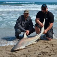 Eastern Florida Shark Hunters LLC