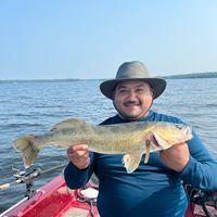 Lake Of the Woods guided fishing