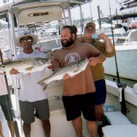 Tiggertoo Charters