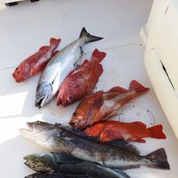 May Salmon Fishing Adventure