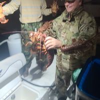 Lobster Hooping Charter 5 hours
