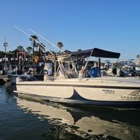 Sport fishing San Jose del Cabo