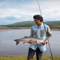 Striped Bass and trout fishing