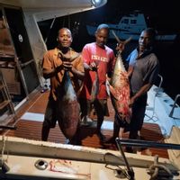 FULL DAY FISHING VIENNA MOMBASA MTWAPA