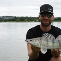MULTI SPECIES Shore Spinning In Danube