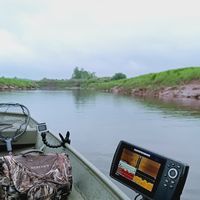 Striped Bass of the Stewiacke