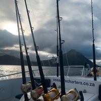 Ocean Life Fishing Charters