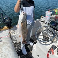 Fishtrips.com fishing trips in SA TX!