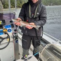 Fiordland South Fiord Fishing