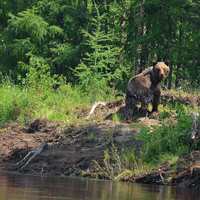 Siberia fishing and hunting tours