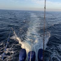 Galapagos Marlin Fishing Charter