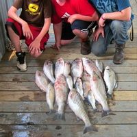 Texoma Striper Fishing