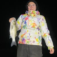 5G Fishing Guide